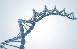 Continues improvement